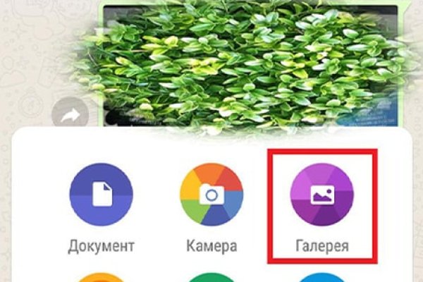 Что продает кракен