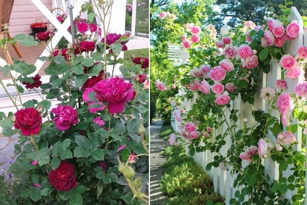 Кракен даркнет ссылка зеркало