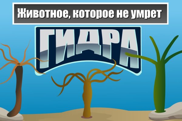 Онлайн магазин наркотиков