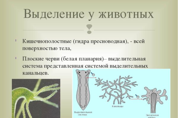 Что такое кракен шоп