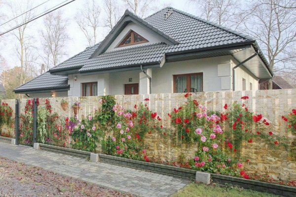Зайти в кракен