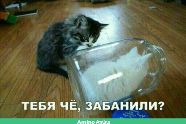 Кракен браузер