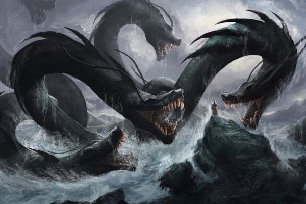 Kraken market