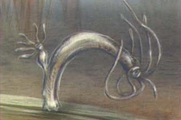 Kraken ссылка onion 2kmp