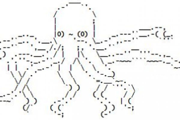 Kraken 5at
