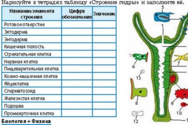 Сайт кракен тор