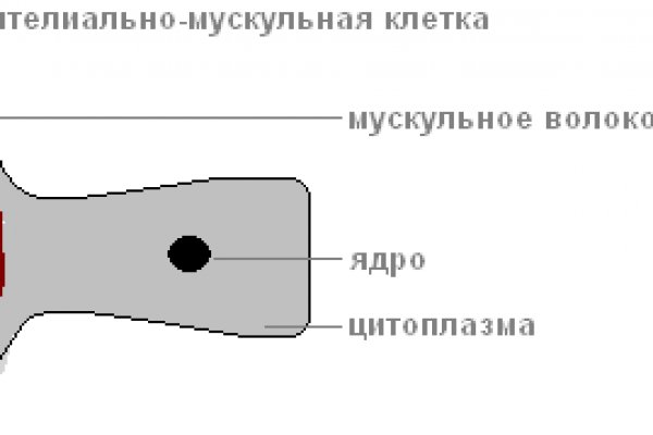 Kraken onion ссылка