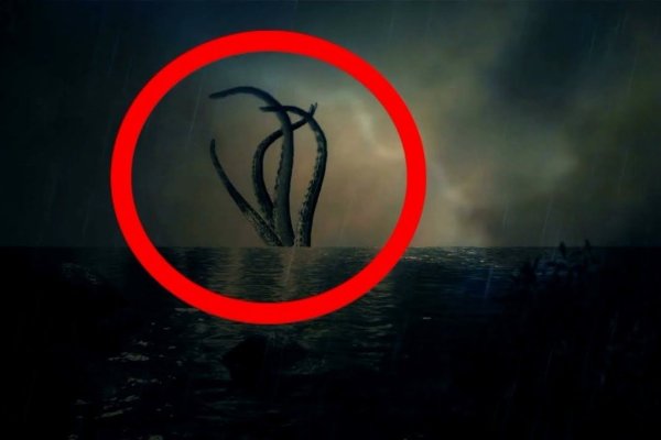 Kraken19 at