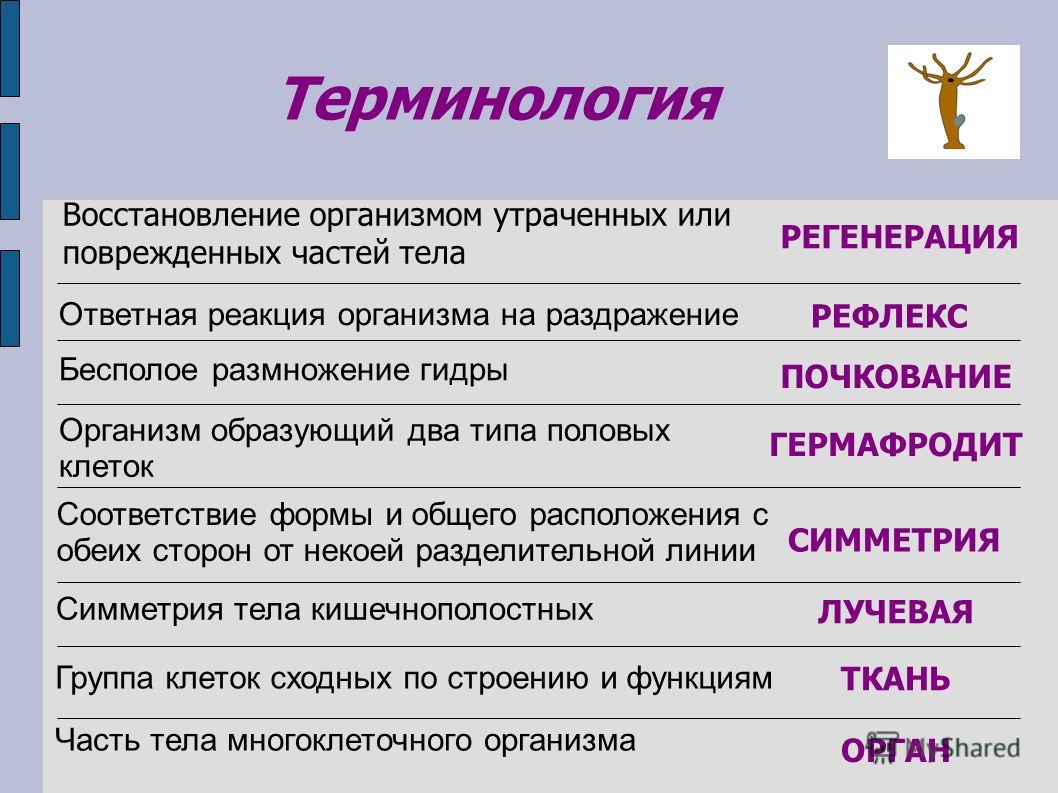 Кракен тор ссылка сегодня